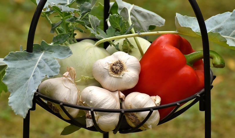 Fruits and Vegetables